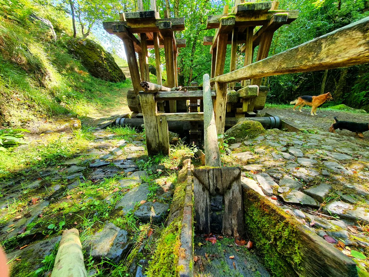 meteoecovisual's tweet photo. #lapisa de #ledantes

#valledeliebana
#turismodecantabria 
#cantabriayturismo 
#cantabria
#cantabriainfinita 
#turismodecantabria 
#pueblosdecantabria 
#pueblosdeespaña 
#pueblosbonitos
#pueblosconencanto
#rinconesconencanto https://t.co/z75n8FEArm