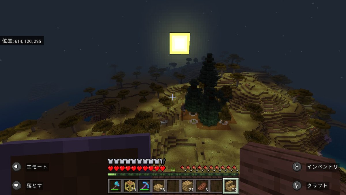 Y10094751's tweet photo. #Minecraft #マイクラ #マインクラフト #NintendoSwitch https://t.co/as39LlL93G