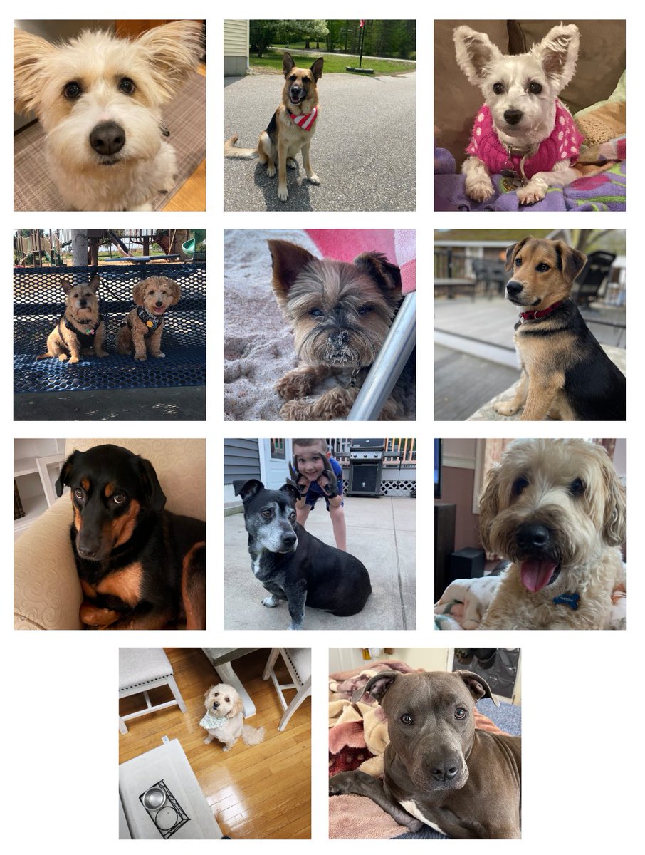 Tomorrow is National Dog Day. At JO, we love a reason to celebrate our four-legged friends who bring endless joy, loyalty, and love into our lives.

Wishing everyone and their canine pals a day filled with belly rubs, treats, and lots of playtime! 🎾🐕🐾