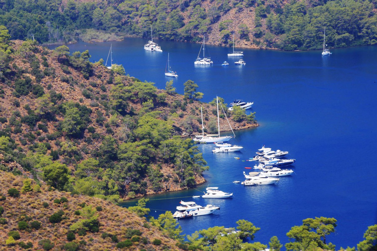 Türkiye tweet media