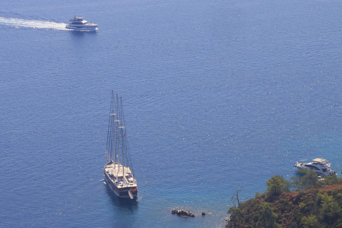 Türkiye tweet media