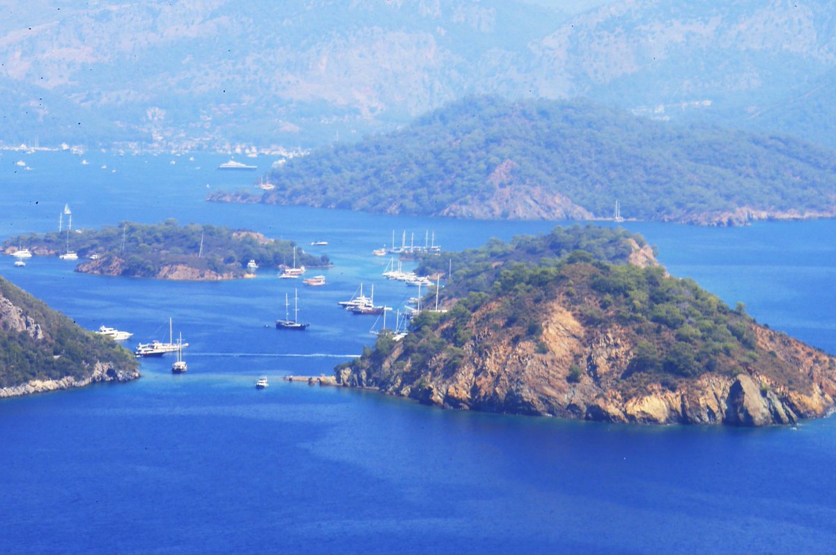 Türkiye tweet media