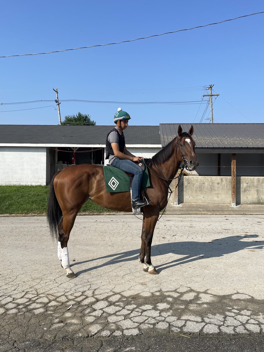 Happy to have our first stakes winner Unifying back in the barn after 60 days of R&amp;R. If all is well we will target sprint-middle distance races with her this coming year #MottRacing