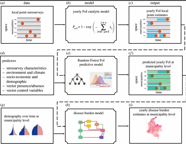 Our new publication <a href="/RSocPublishing/">Royal Society Publishing</a>

A modelling pipeline from serological surveys to burden estimates for #Chagas disease

Using serocatalytic and compartmental models and machine learning methods to reconstruct the history of transmission &amp; diss burden

doi.org/10.1098/rstb.2…