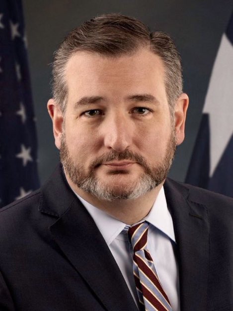 🚨BREAKING: Ted Cruz has introduced a bill that would force the federal government to finish the Trump Wall. 

Do you support this?