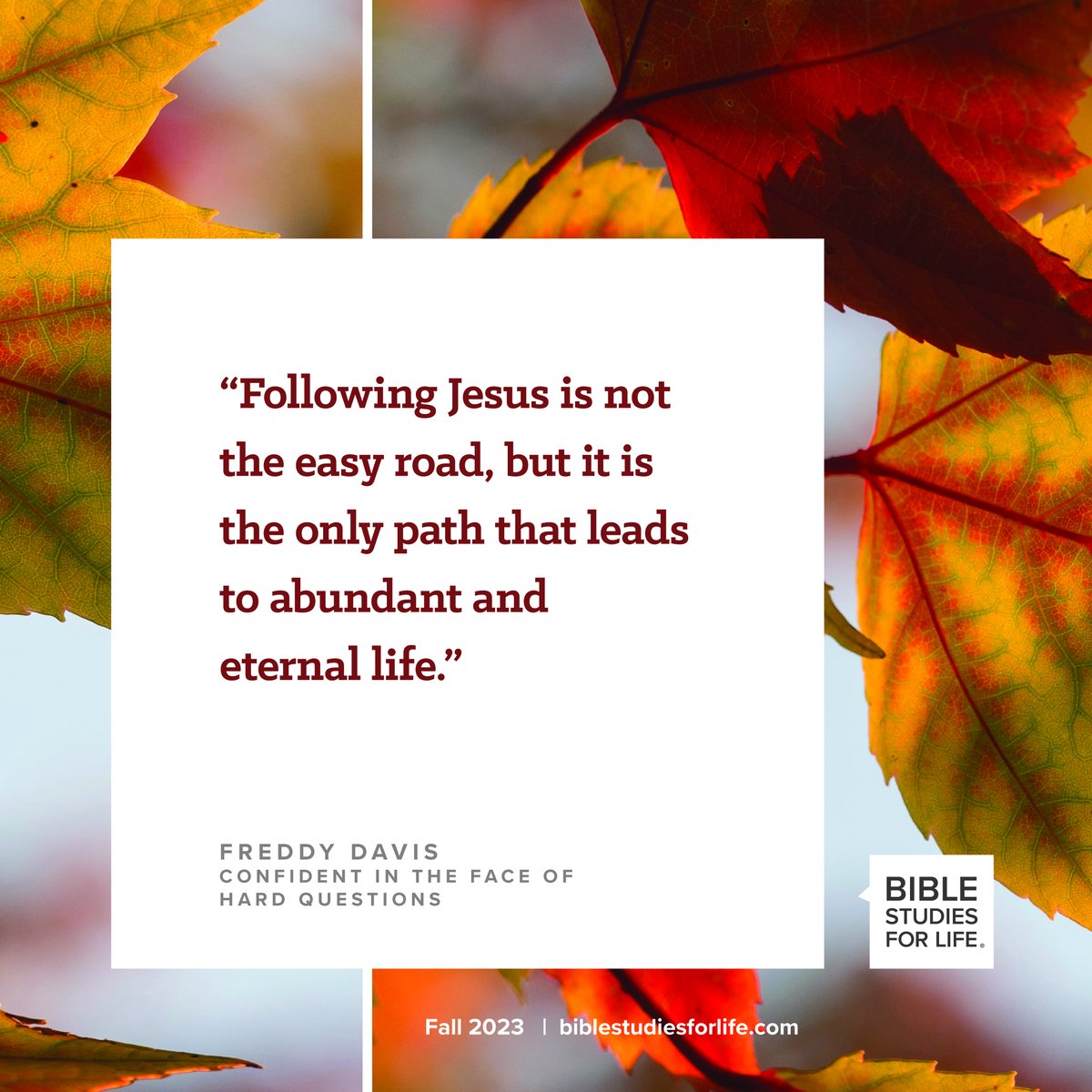 smallgroup_com's tweet photo. Explore the Bible is designed to illuminate the historical, cultural, and biblical context of Scripture.  https://t.co/PlZk7Vv7oW https://t.co/DxOX0RzpQ4