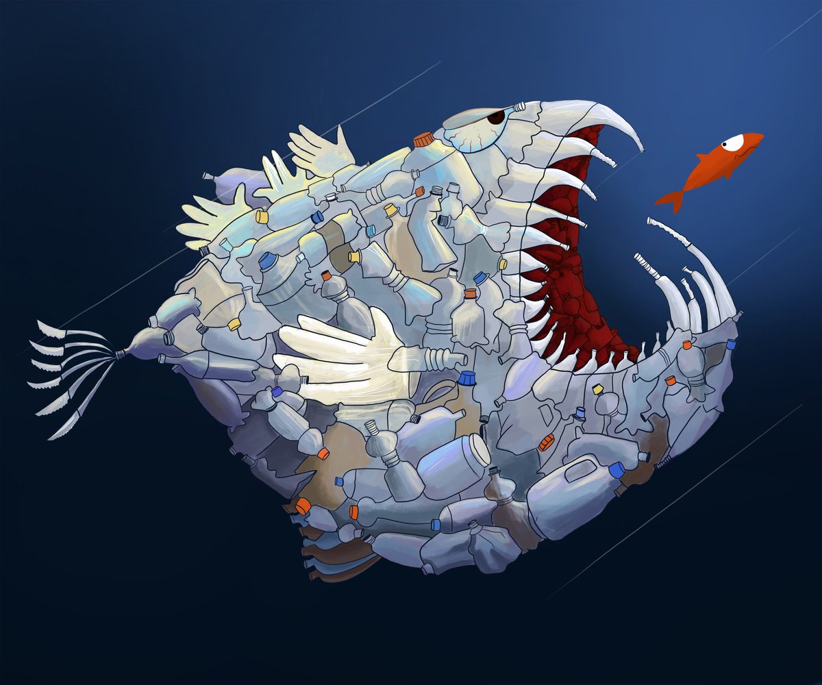 Sahar Fattah 🕊️ tweet media