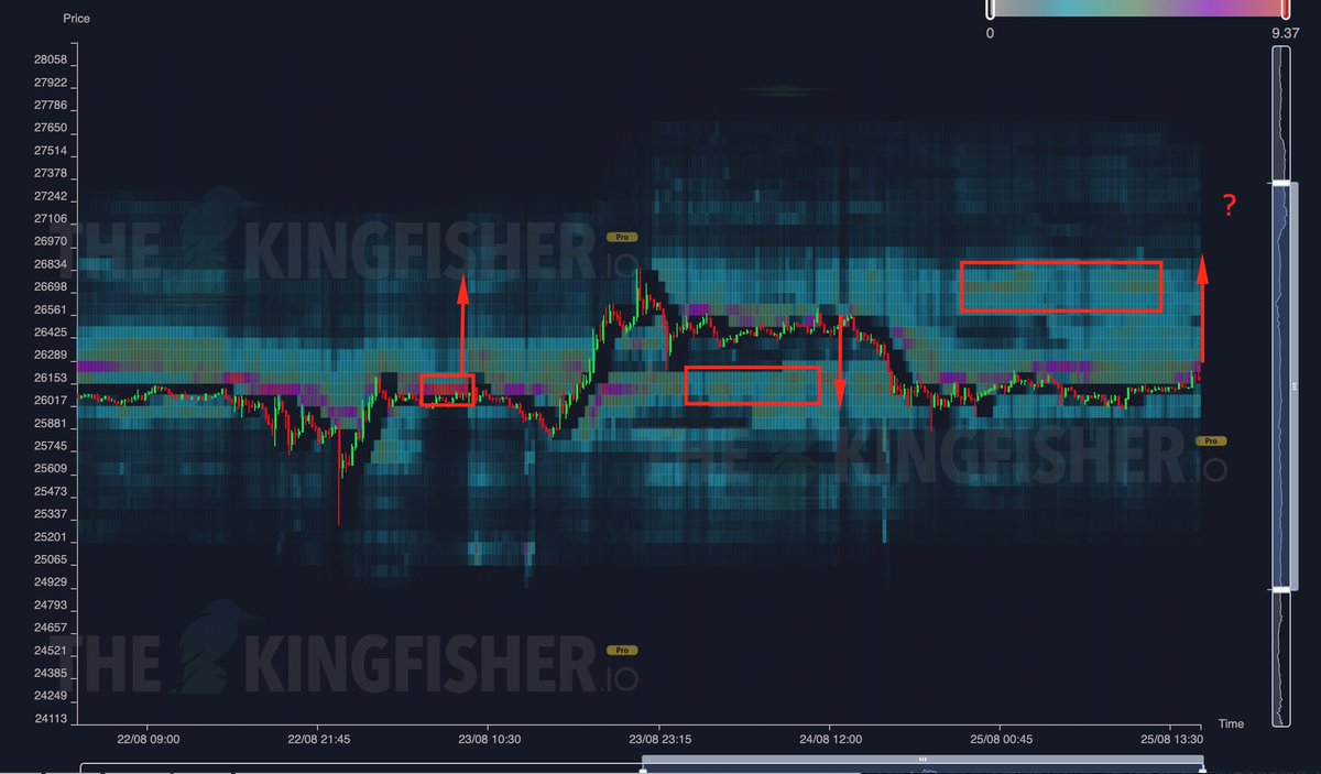 TheKingfisher tweet media