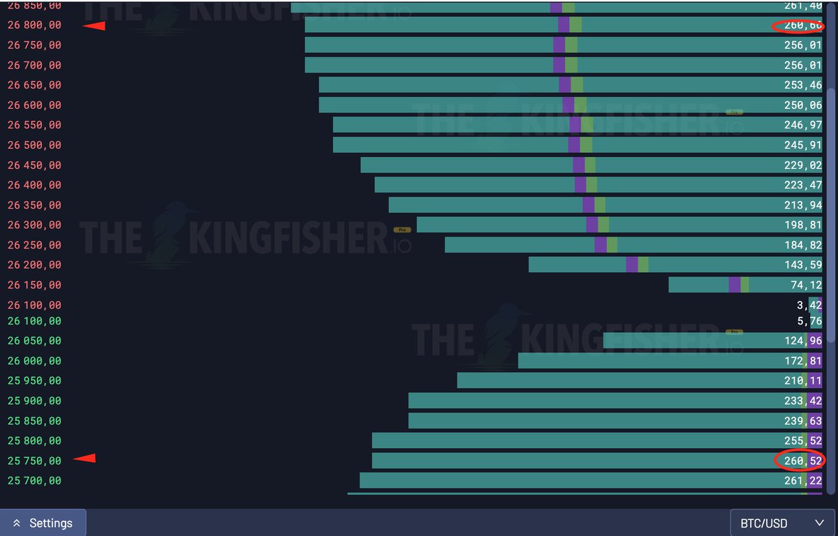 TheKingfisher tweet media