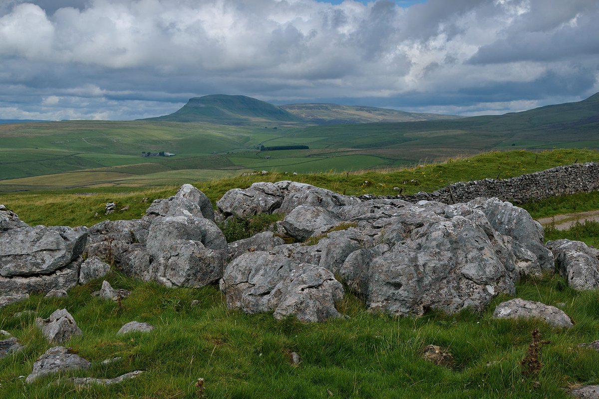 Penyghent yesterday from above Langcliffe, Yorkshire Dales NP.