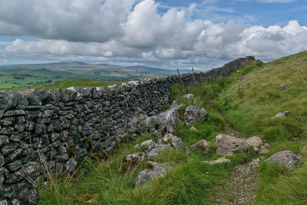 Walking alongside the drystone walls of the Yorkshire Dales, yesterday.