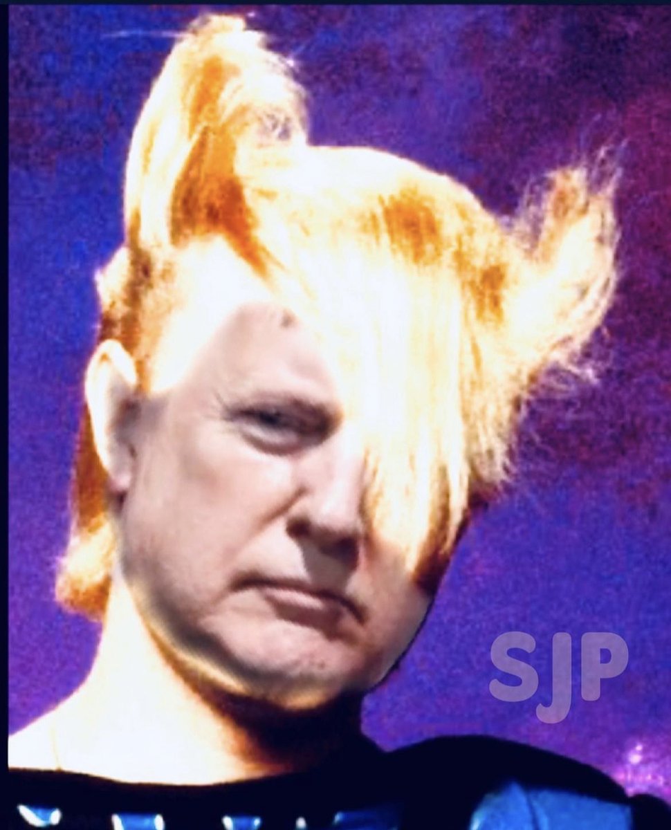 A flock of Legals #Trump #TrumpMugShot #TrumpMugShotDay #sjpmeme