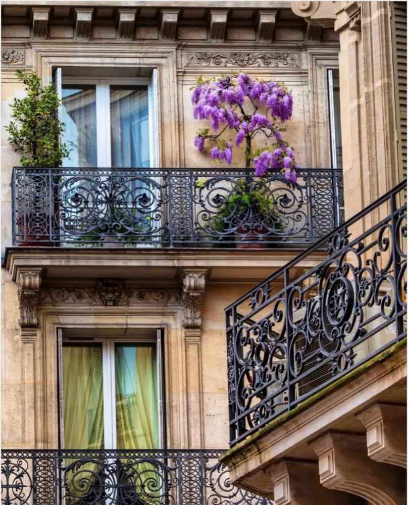 I Love French Balconies~ Photography by Frédéric Michot

@Architectolder
#WroughtIron #ArchitectureLovers #Parisarchitecture #classical #frenchstyle #fineartphotography #parisvibes #parislovers #balcony #beautifulbalcony