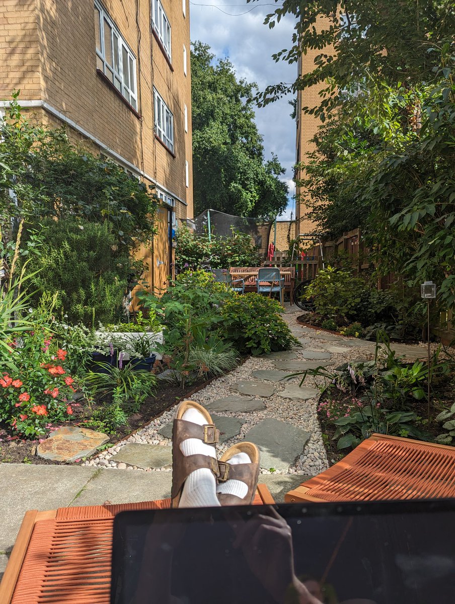 The office this afternoon