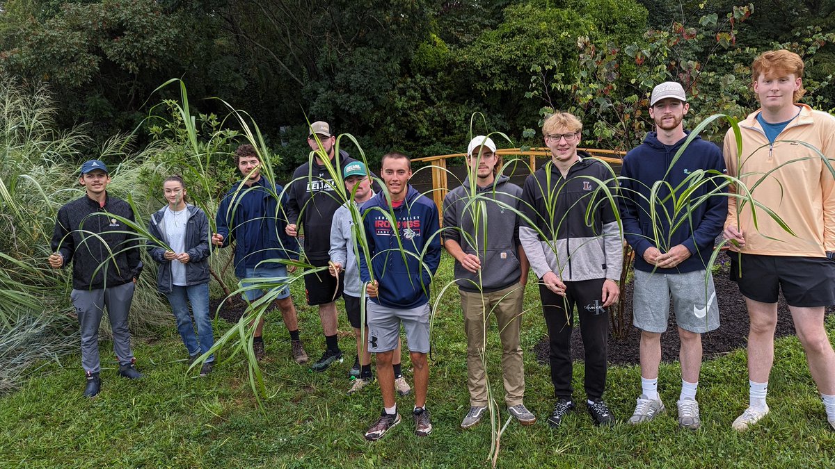 DelValTurf's tweet photo. First lab of the semester on #screenfreefriday. Learning how to identify grasses @DelVal https://t.co/YK1Ycrpk7Y