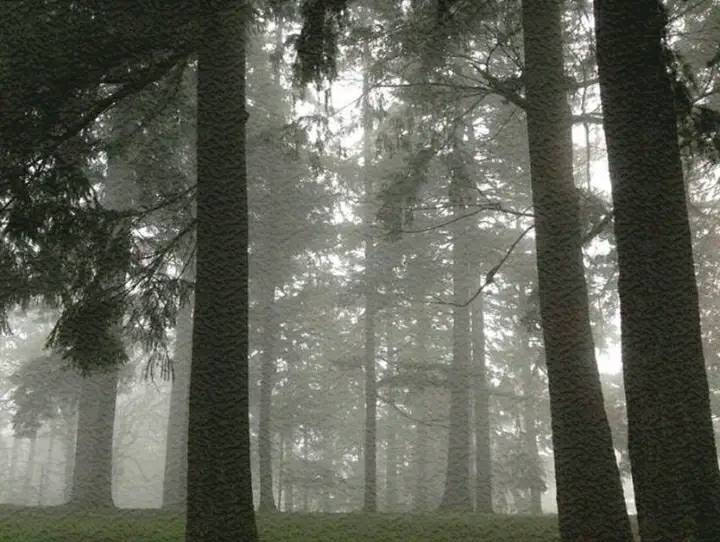 artindetails's tweet image. gloom.