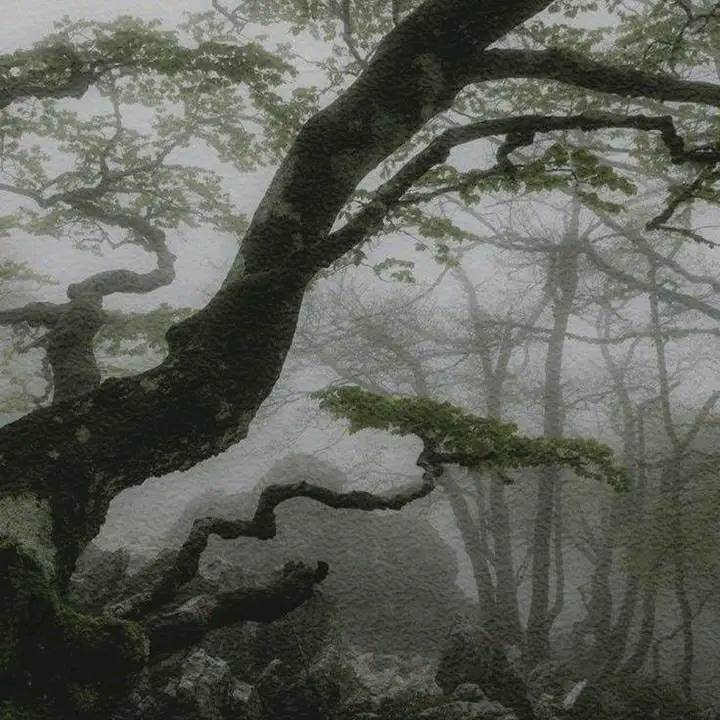 artindetails's tweet image. gloom.