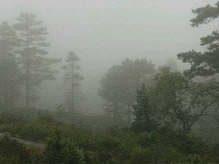 artindetails's tweet image. gloom.