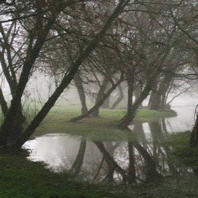 artindetails's tweet image. gloom.