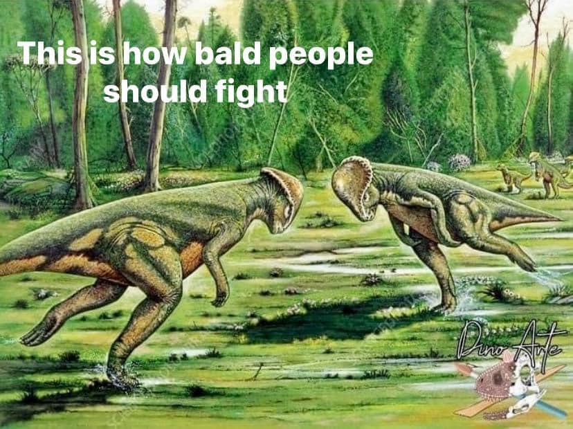 Everything Out Of Context tweet media