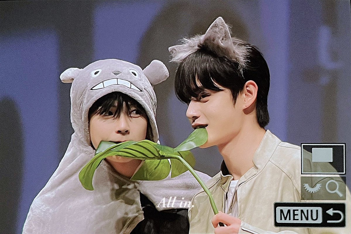 230825 토토로랑 늑대ㅋㅋ #성한빈 #김지웅 #ZB1