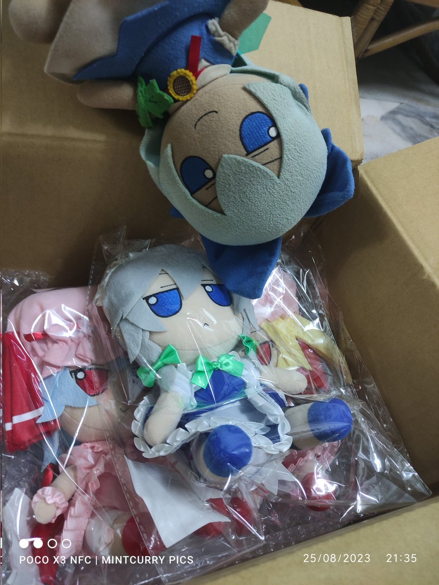 CirnoFumoTan's tweet photo. "Day 25b: They've arrived!"
Thank you @AmiAmi_English, once again for the opportunity. Am still waiting for Suika Ibuki.
Cirno Tan is excited as well. There are a few haikus below.
#amiami #sdm #fumo23Feb #cirnotan #touhou #fumo #plushies #haiku https://t.co/06tHVjyvMg