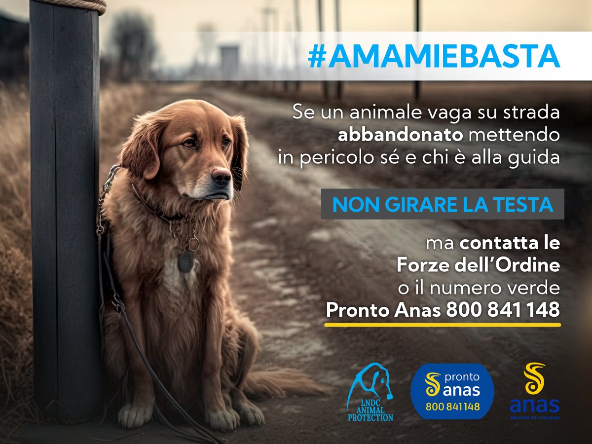 ⚠️ Gli animali abbandonati per strada mettono in pericolo sé stessi e chi è alla guida. Aiutaci a metterli in salvo! Se sei in viaggio e avvisti un cane o un gatto solo e sperduto, chiama il numero verde Pronto Anas 📞 800 841 148 ⚠️ #AMAMIEBASTA @StradeAnas