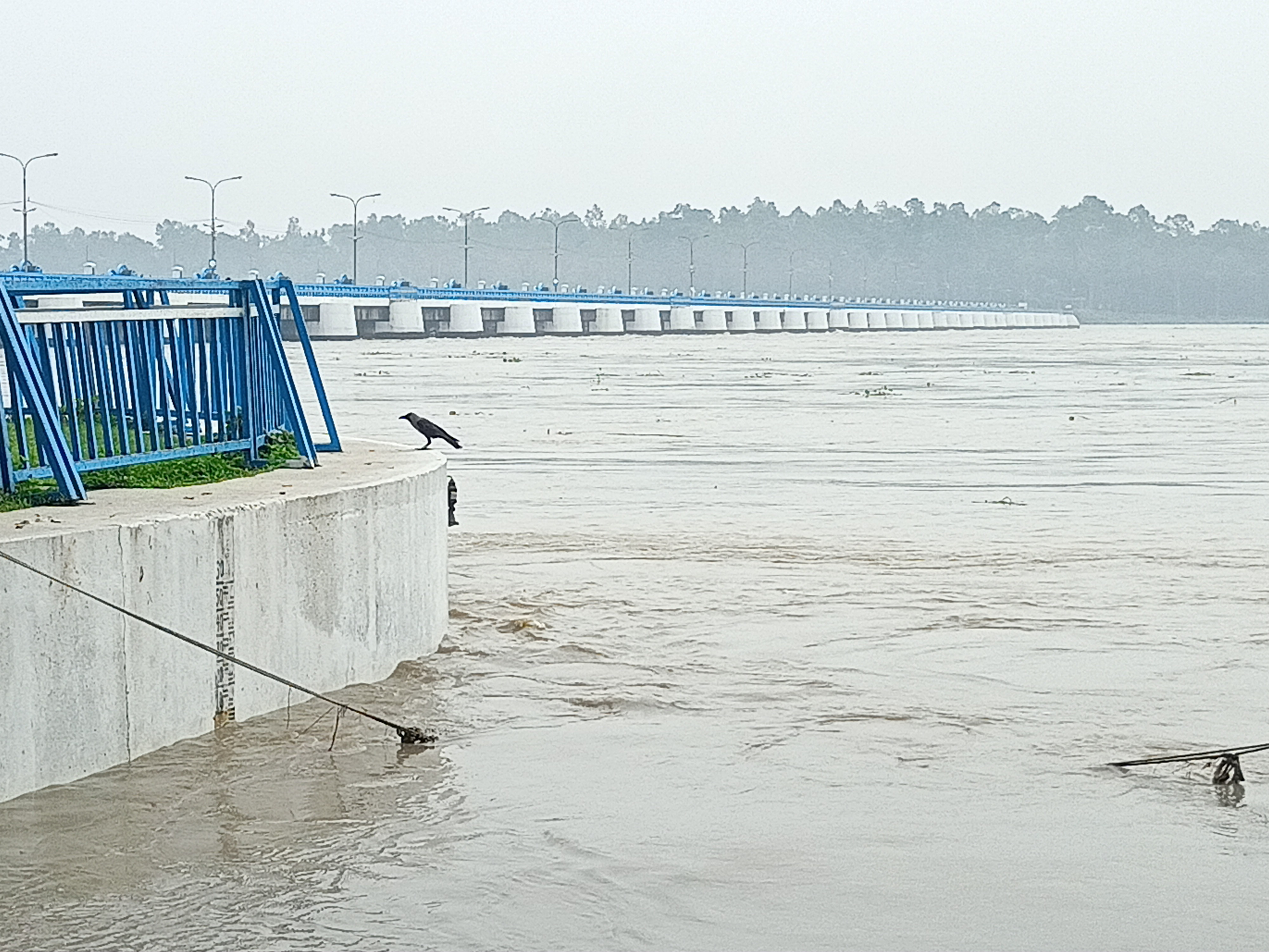 তিস্তার পানি বৃদ্ধি পেয়ে বিপদসীমার ১১ সেন্টিমিটারের উপর দিয়ে প্রবাহিত, নিম্নাঞ্চল প্লাবিত হওয়ার আশঙ্কা