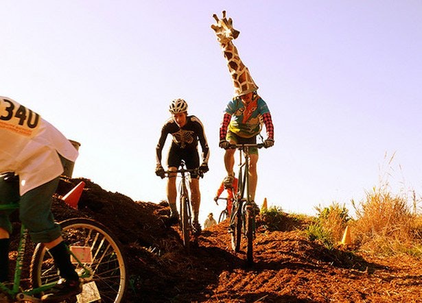 Nothing against giraffes, but if you're considering this costume for #LoveHard2023 on September 9, you might want to rethink. An underpass on the route might  cause some serious clearance challenges. 🙃 Costume or not, it's time to get registered!  lovehardbikeride.org/ride-details.h…