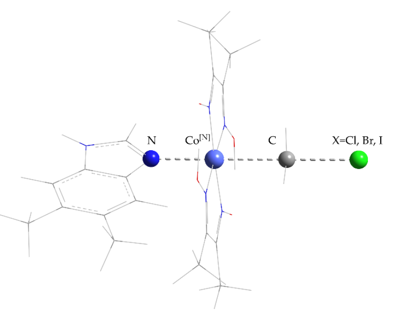 QCT_USFQ's tweet photo. We cordially extend an invitation to read one of our most recent theoretical papers entitled: "A Theoretical Study of the C–X Bond Cleavage Mediated by Cob(II)Aloxime", which can be freely downloaded at https://t.co/TIbd61jeY5. https://t.co/7UbxGJWQ3O