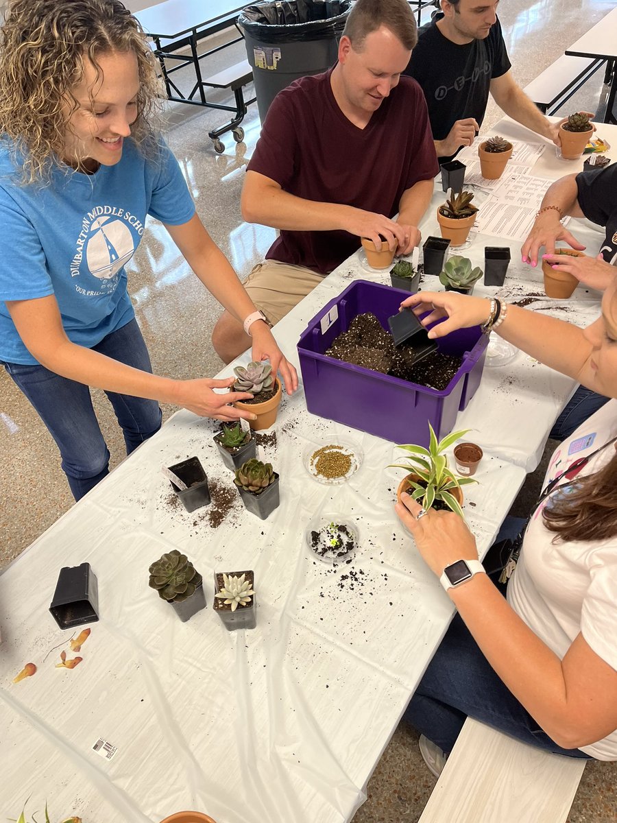 Jill Cox tweet media