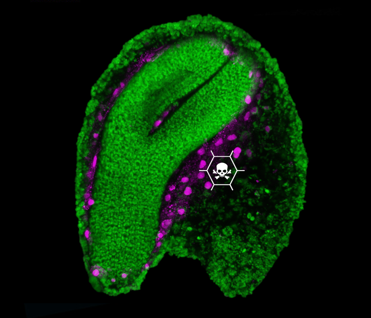 Moritz K. Nowack @moritznowack.bsky.social tweet media