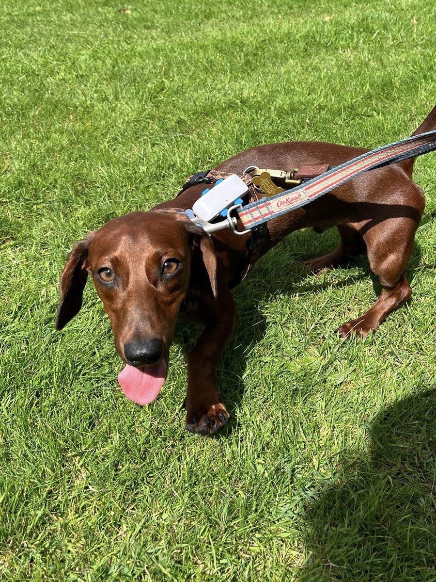 fiona bentley tweet media