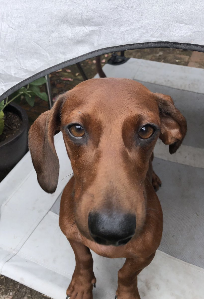 fiona bentley tweet media