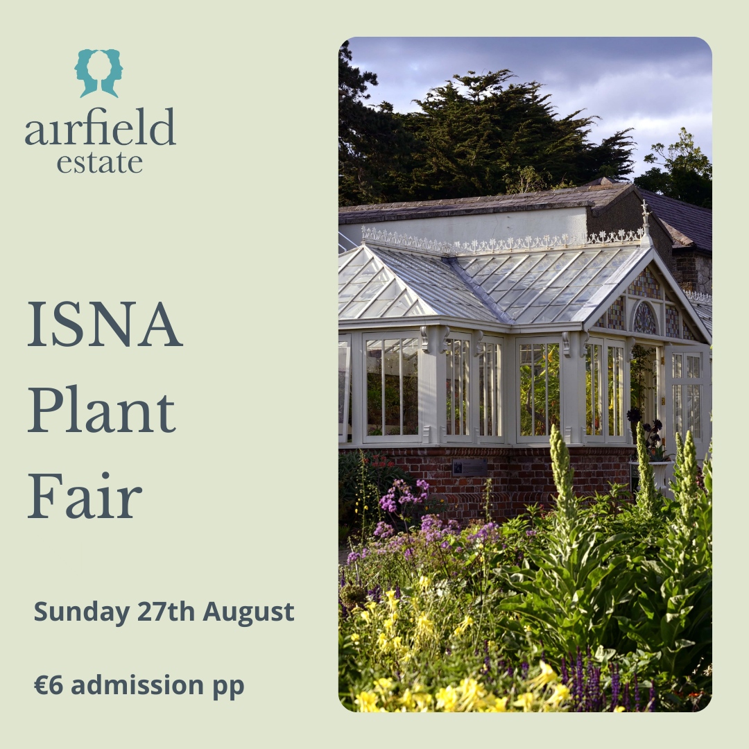 Airfield Estate tweet media