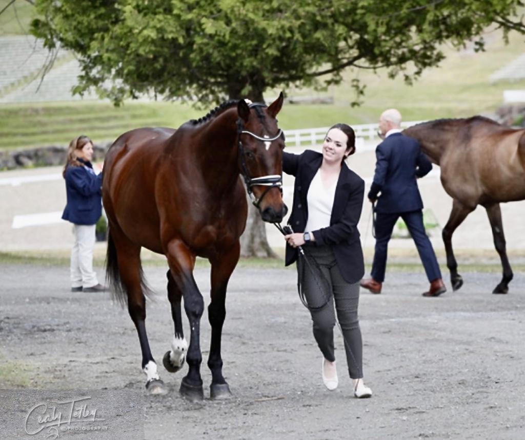 HM_eventing's tweet photo. Perfect Prep is so easy to use and so effective that it feels like magic! It is definitely on my horse show essentials list. 

📸 Cealy Tetley Photography 

#PerfectPrep #perfectprepproducts #HorseShowEssentials #CompeteWithConfidence #EquestrianMagic #teamcheckers #HMEventing https://t.co/RwvB5C54iQ