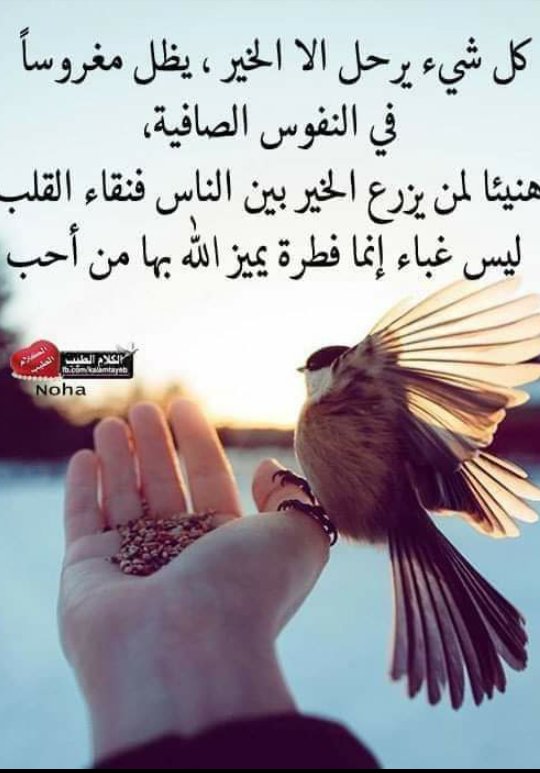 السماء الصافية (@eeyreuui) on Twitter photo 