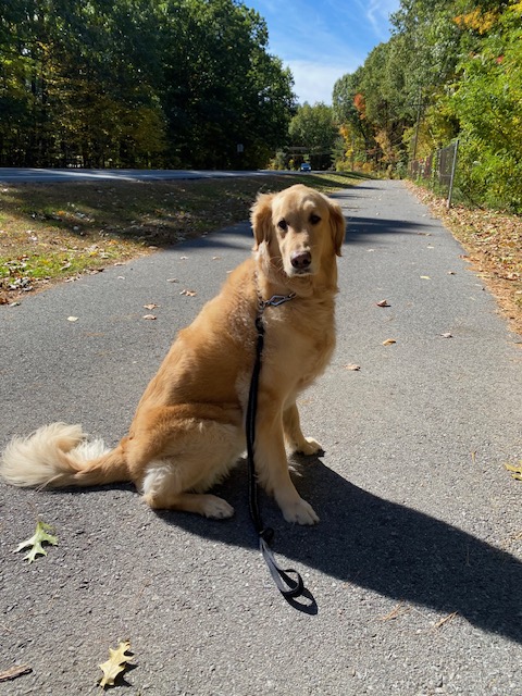 Malta Ave Elementary tweet media