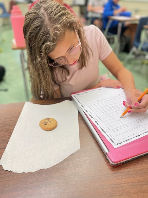 lmscardinals's tweet photo. Look how fun the "I Can..." statement is today in Mrs. Rotton's Social Studies classes! #LiveLearnLandrum #RespectExcellenceDetermination https://t.co/lAq4HlXkUC