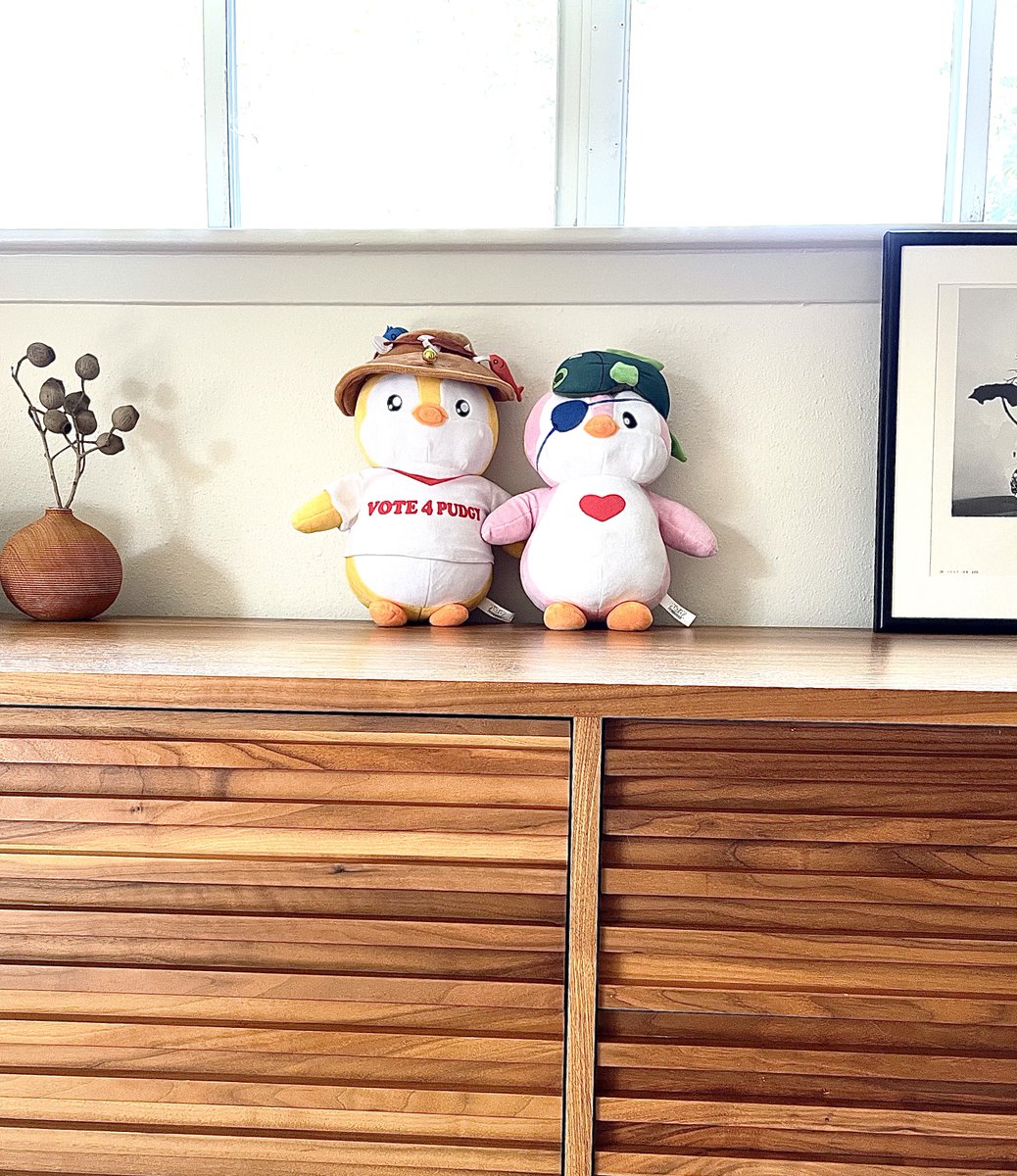 Sillos 🪶 tweet media