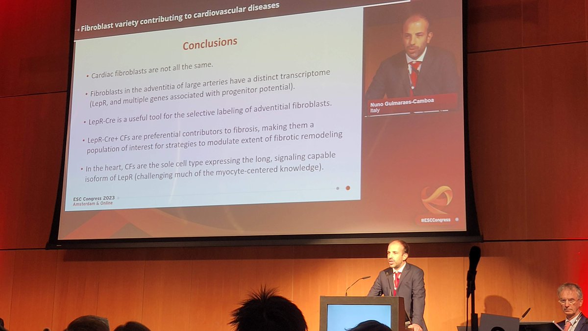 Cardiac fibroblasts are not all the same!
Nuno Guimaraes-Camboa identifies a specific fibroblast subpopulation that preferentially contributes to fibrosis. Very interesting population to target in the future.
@C_Balbi90 @liberale_luca 
#ESCCongress #BasicScience