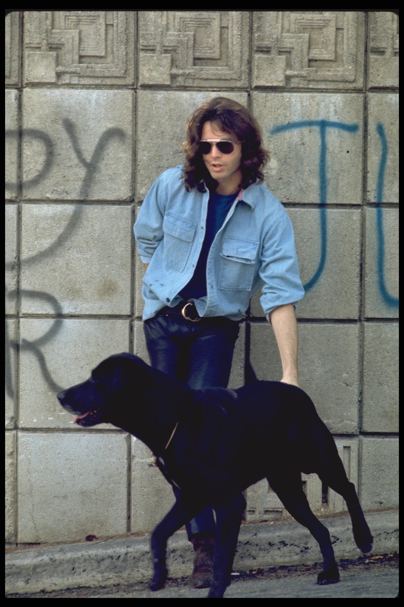 Happy #InternationalDogDay

Photo by Paul Ferrara.

#JimMorrison #DogLovers #IconicPhotos #RockPhotography