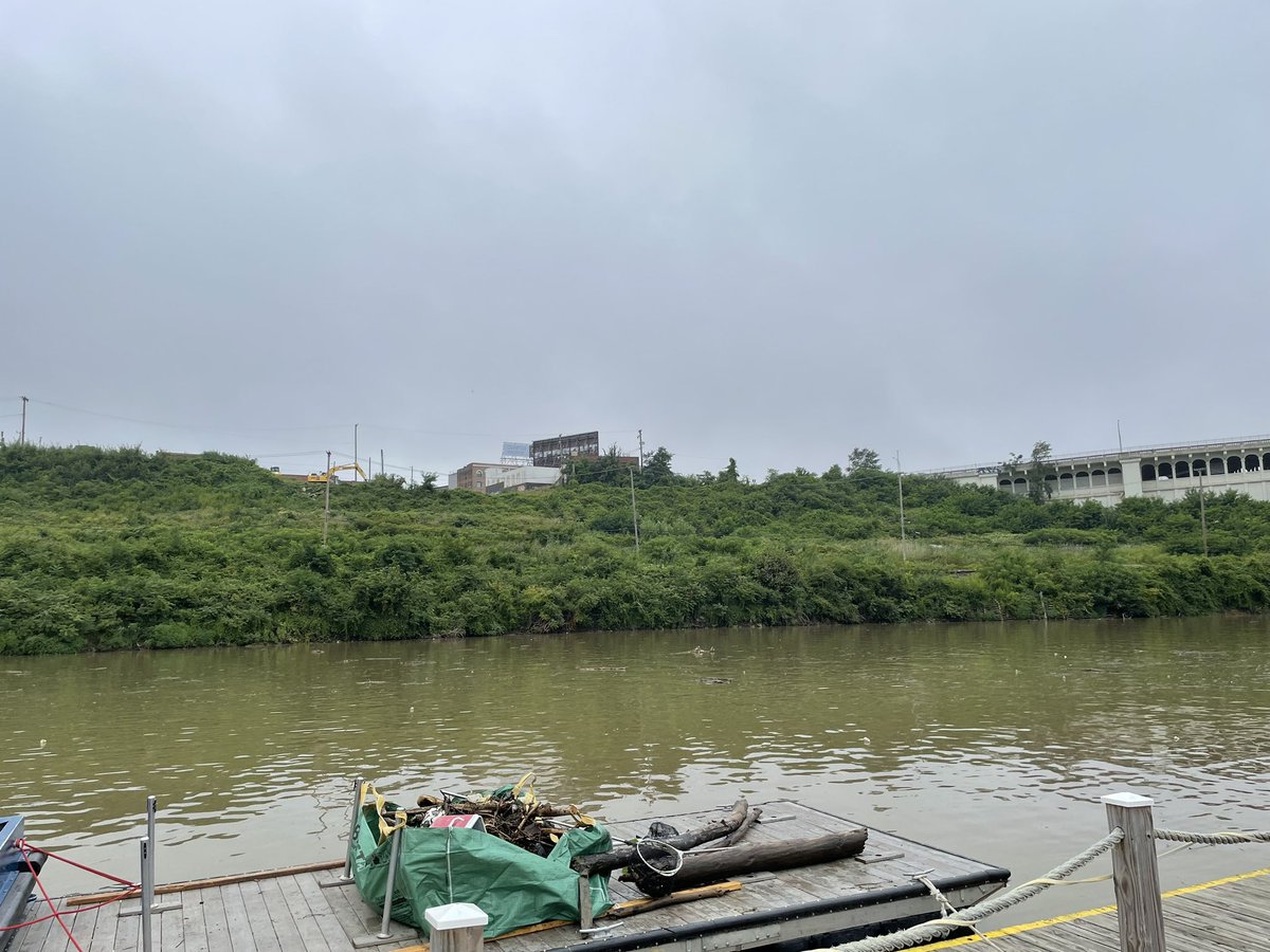 Nick Castele tweet media