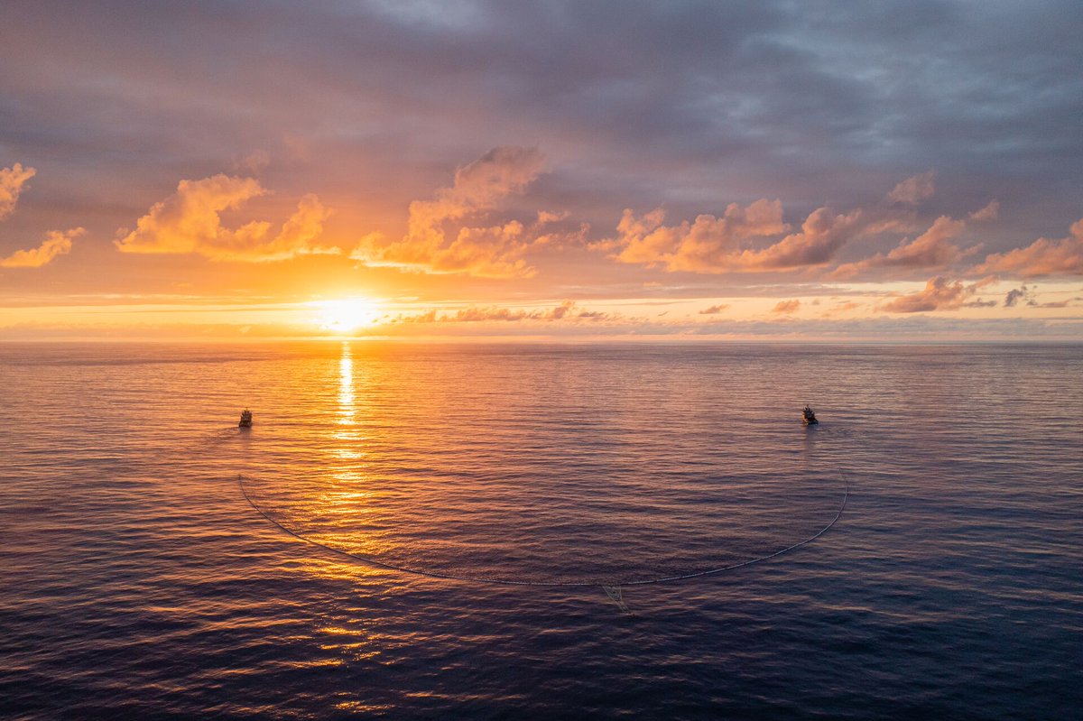 The Ocean Cleanup tweet media