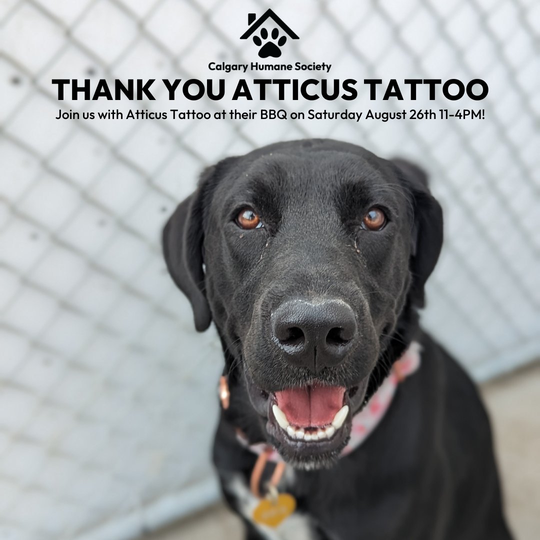 CalgaryHumane's tweet photo. Come say hi at Atticus Tattoo tomorrow! We will be at their BBQ from 11-4pm! Thank you for supporting us @atticustattoo π» #AtticusTattoo #BBQEvent #SupportLocal #CalgaryHumaneSociety #CharityEvent #CommunitySupport #YYC #Calgary #CalgaryEvent #CalgaryToDo #NationalDogDay https://t.co/JqA7gnnQma