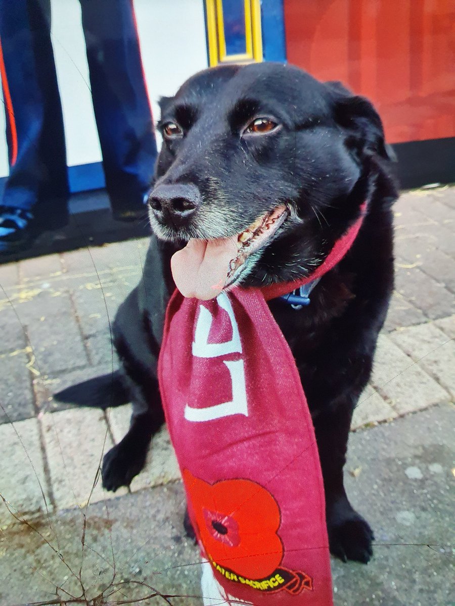 Comedy Marketer tweet media