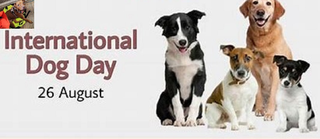 Richard Smith tweet media