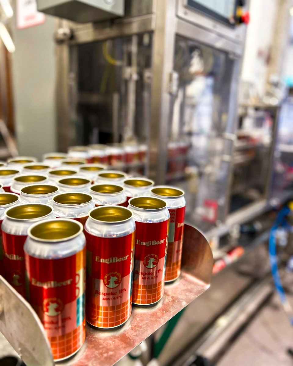 Irish_C_Canning's tweet photo. Great looking cans from @Ballykilcavan which we both digitally printed AND filled 😍

Get in touch today to see how we can help you with all your canning needs 🍺

#craftbeer #canning #metalrecyclesforever #ipa #processpackaging #howitsmade #beer #packaging https://t.co/je2VdgjtDP
