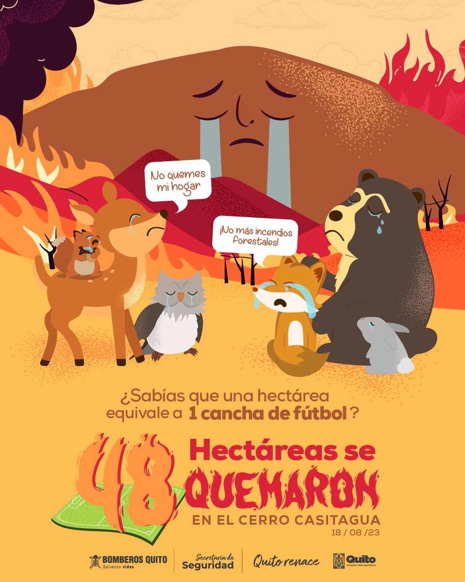 🦜🐮🌿🍓🥕🐰 #JuntosSalvamosVidas |
Los bosques, laderas y quebradas,son el hogar de miles de animalitos y plantas.
 
☝️ Por eso, debes cuidarlos.
🚫 No realices quemas, estas pueden causar un gran incendio 

#BomberosQuito
#QuitoRenace
