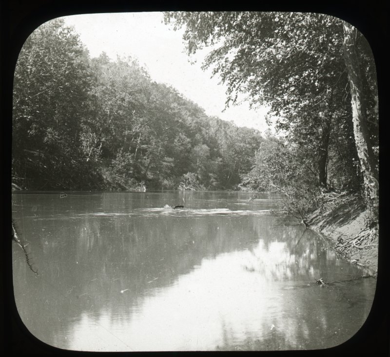 The Filson Historical Society (@filsonhistory) on Twitter photo Got stalactites? 🪨
Happy birthday to the <a href="/NatlParkService/">National Park Service</a>! Founded #OnThisDay in 1916. Today, we're sharing a few 19th century images of Kentucky's own, <a href="/MammothCaveNP/">Mammoth Cave NP</a>! 🎉
Stay cool and hydrated if you're enjoying the great outdoors today! 🥵🧊 Got stalactites? 🪨
Happy birthday to the <a href="/NatlParkService/">National Park Service</a>! Founded #OnThisDay in 1916. Today, we're sharing a few 19th century images of Kentucky's own, <a href="/MammothCaveNP/">Mammoth Cave NP</a>! 🎉
Stay cool and hydrated if you're enjoying the great outdoors today! 🥵🧊